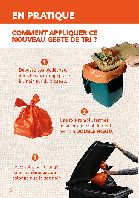 Agrandir l'image (fenêtre modale)