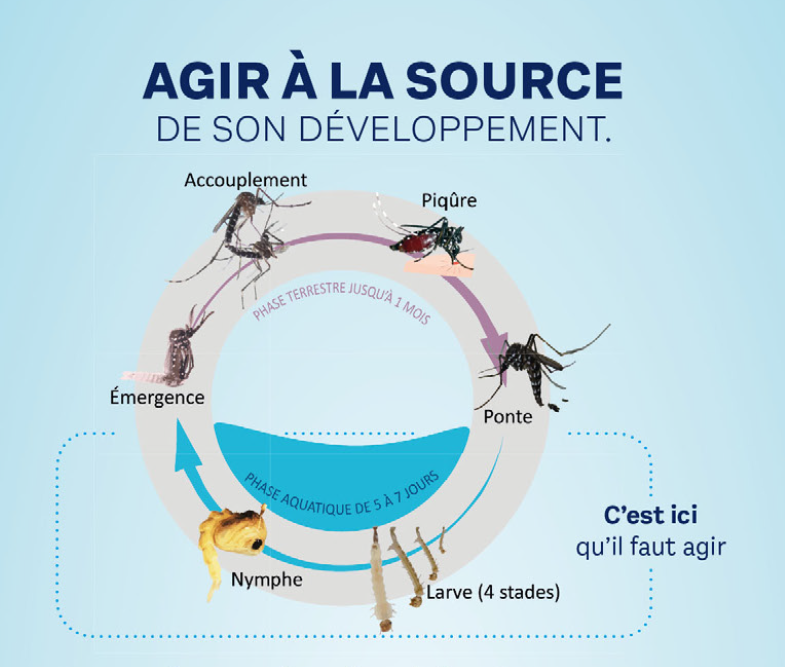 Agrandir l'image (fenêtre modale)